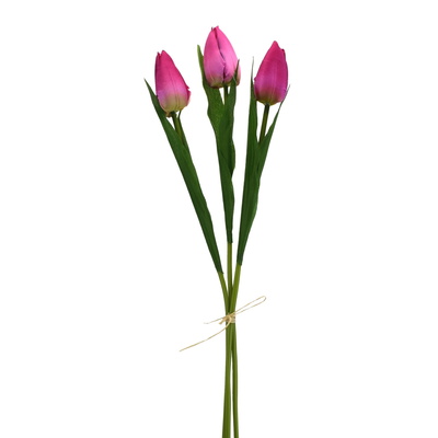 Svazek 3 ks tulipánů vínové 50 cm
