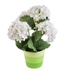 Hortenzie bílá 5 květů v keramickém květináči 33x27 cm