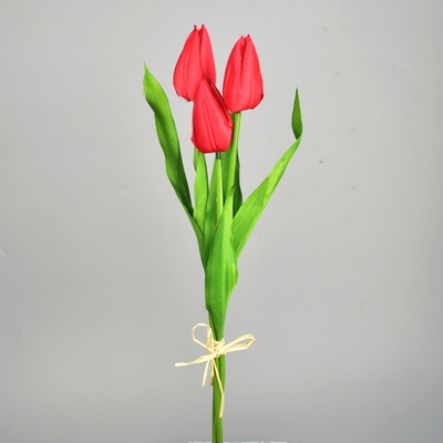 Svazek 3 ks tulipánů červené