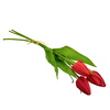 Svazek 3 ks tulipánů červené 50 cm